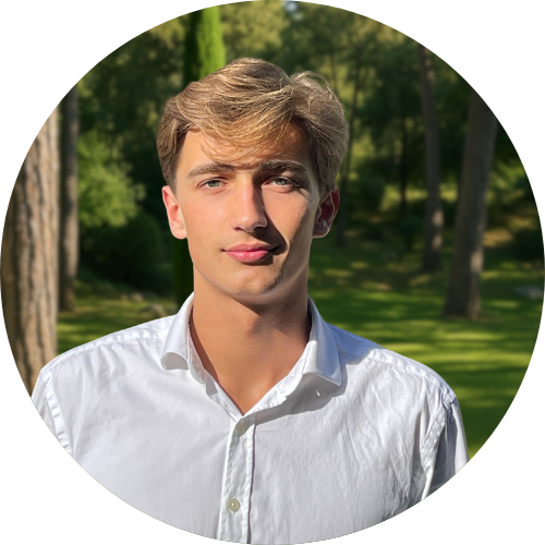 Directeur commercial france Portail Octavien